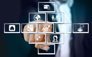 上海互聯(lián)網軟件集團 引領高端協(xié)同管理軟件與咨詢服務新紀元