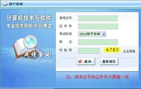2012年下半年兵團軟件水平考試系統(tǒng)集成項目管理工程師成績查詢指南